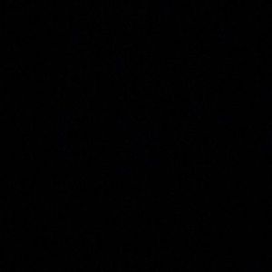 Meet your Posher, Lee